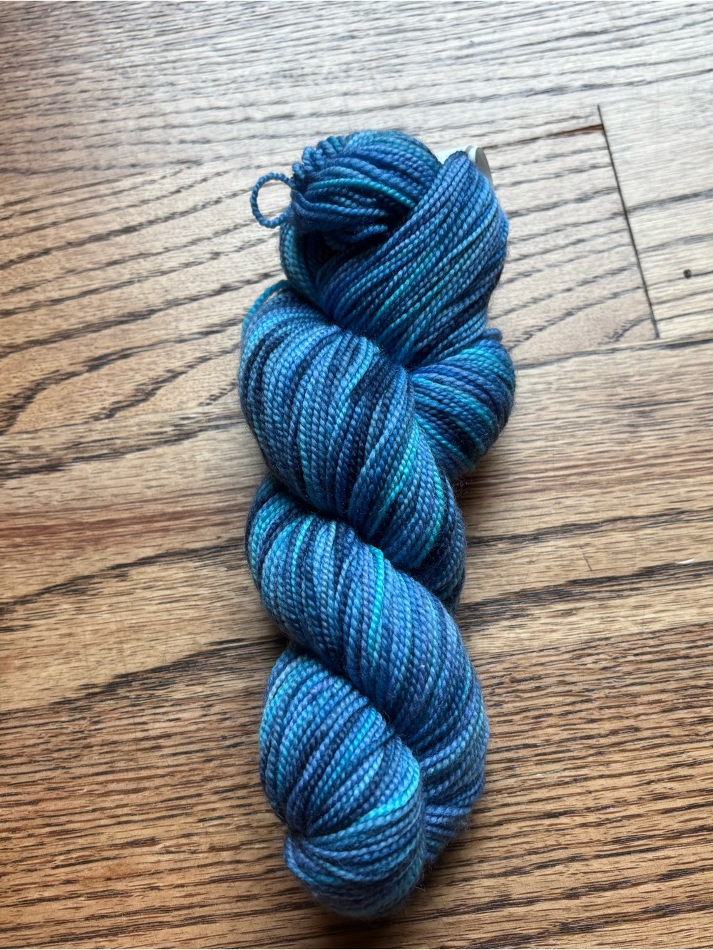 Koigu KPPPM Yarn 100% Merino Wool 175yds Variegated P839-0011 Tonal Blue NWT